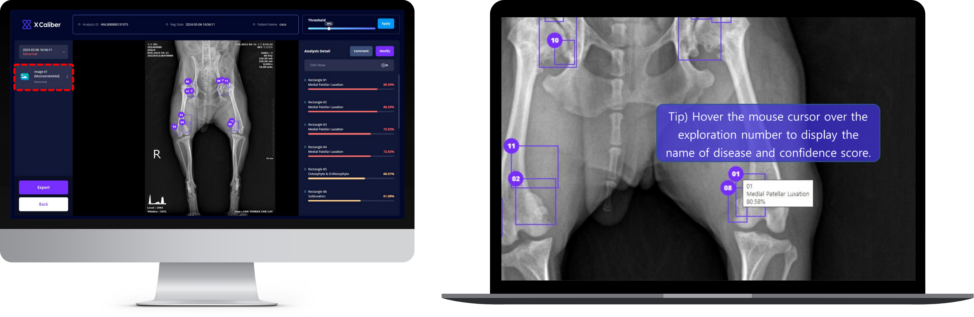 Integration with AI Vet X-ray Diagnosis Assistant